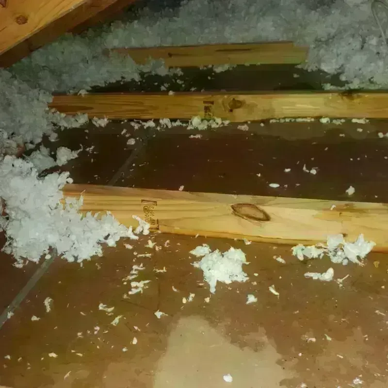 Attic Water Damage in Austin County, TX