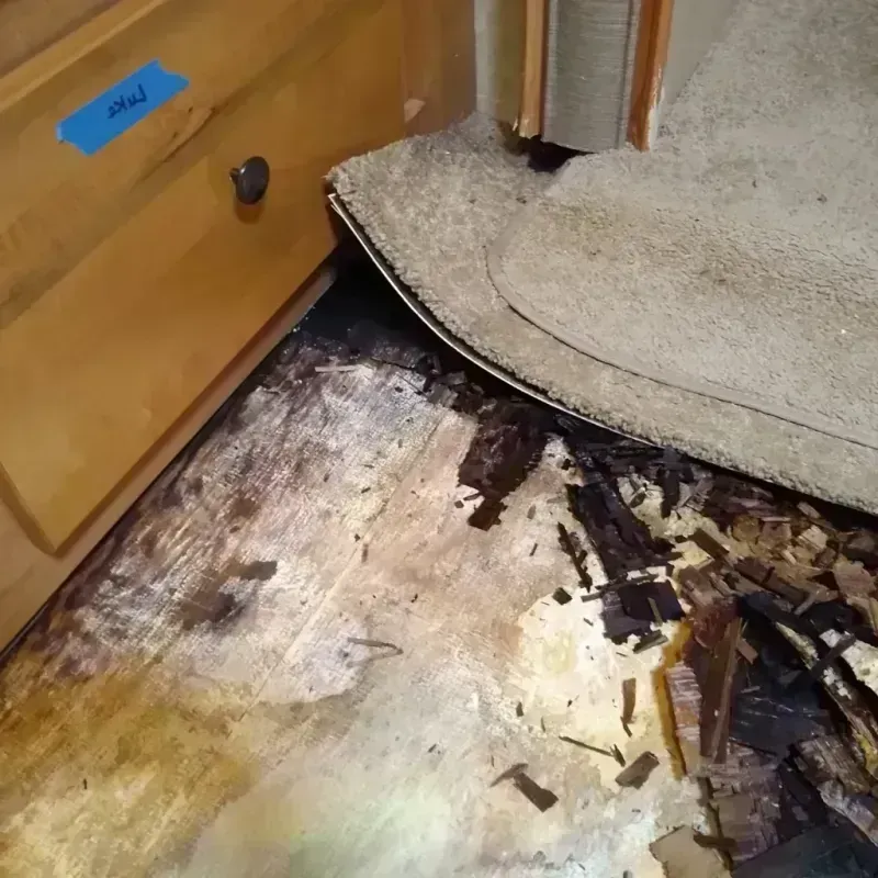 Wood Floor Water Damage in Austin County, TX